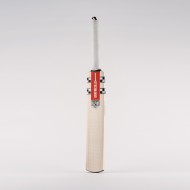 Gray-Nicolls Alpha Warrior Junior Cricket Bats