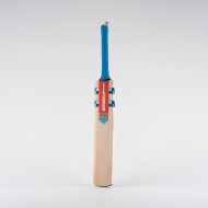 Gray-Nicolls Vapour Gen 1.0 Thunder Junior Cricket Bats 